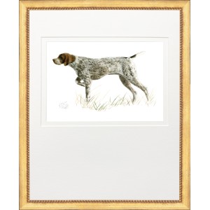 KS- HUNTING DOG 4